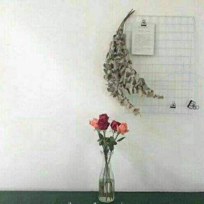 浪剑仙诀7477版下载